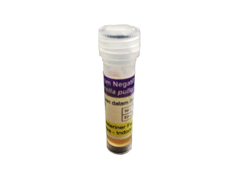 Serum (-) Pullorum